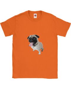 Kid's Orange T-Shirt (7-8 Years Old)
