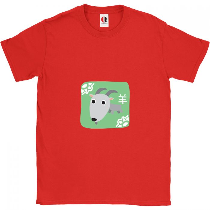 Kid's Red T-Shirt (9-11 Years Old)